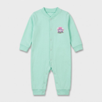 Mint Meadow Coverall Romper
