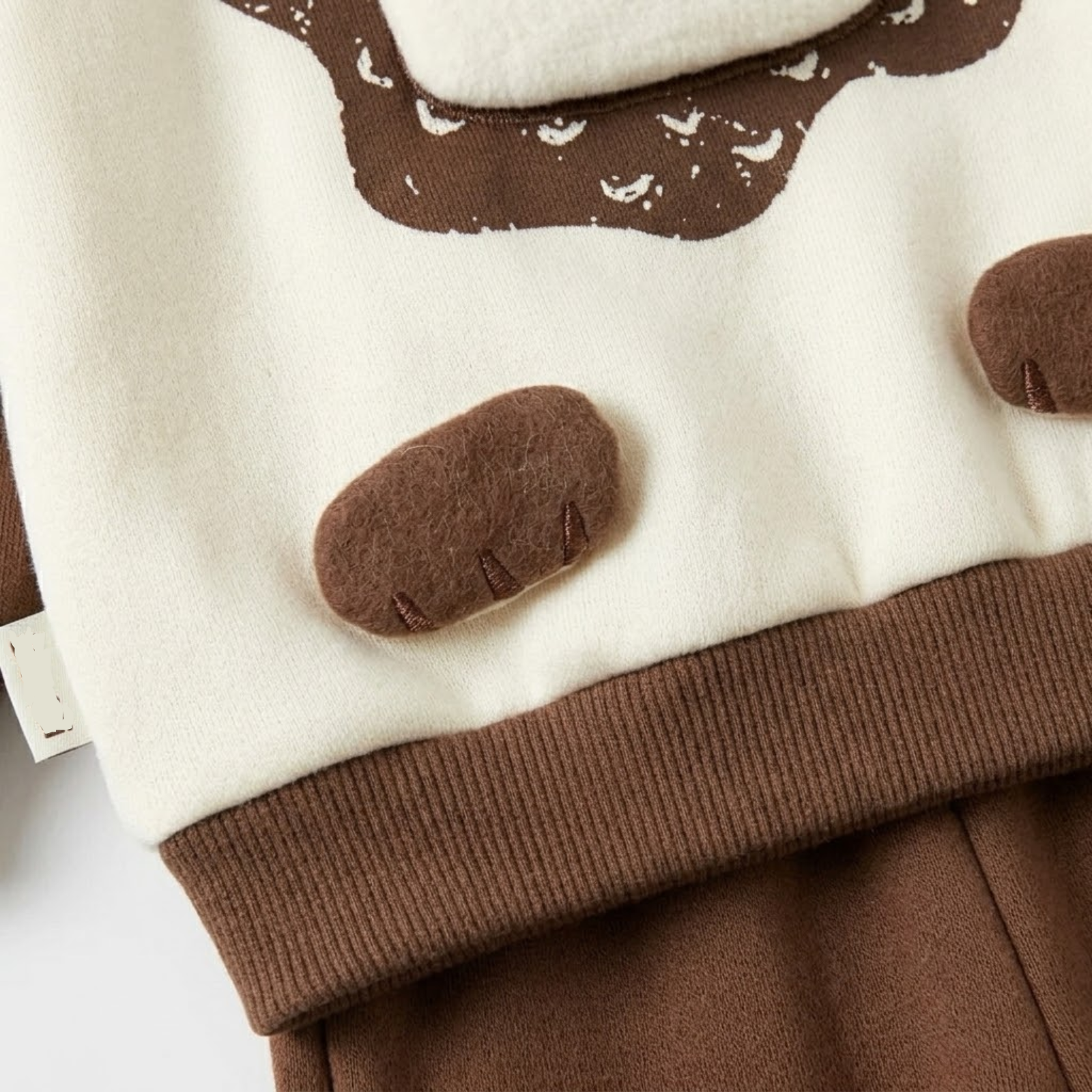 Lion Cub Fleece Sweatshirt Set