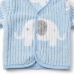 Blue Elephant 5-Piece Newborn Velour Set